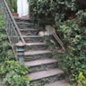 Meet your Posher, Frances